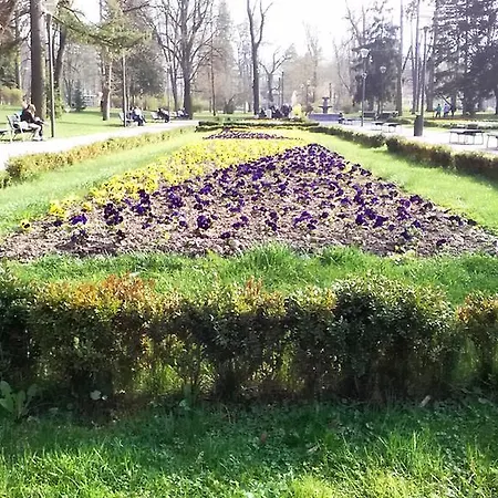 Smiley شقة Vrnjačka Banja