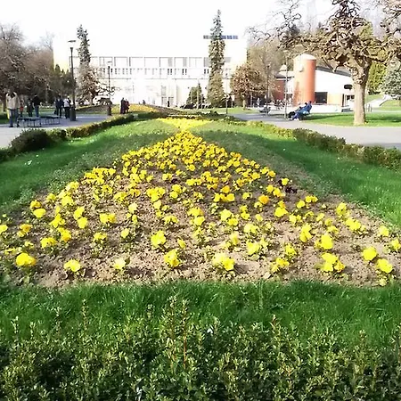 Smiley Vrnjačka Banja
