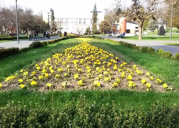 Smiley Vrnjačka Banja